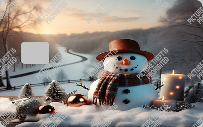 Bank  Card Sticker-BC-2795